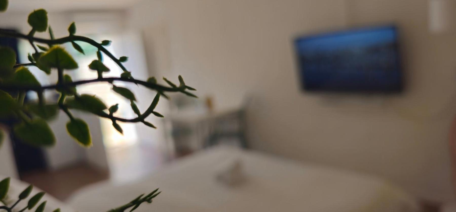 Kadenca Apartamento Umago Quarto foto